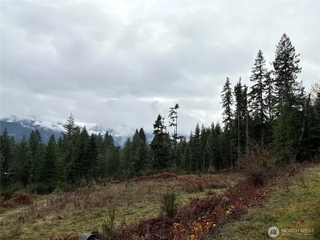 a view of a city with lots of trees