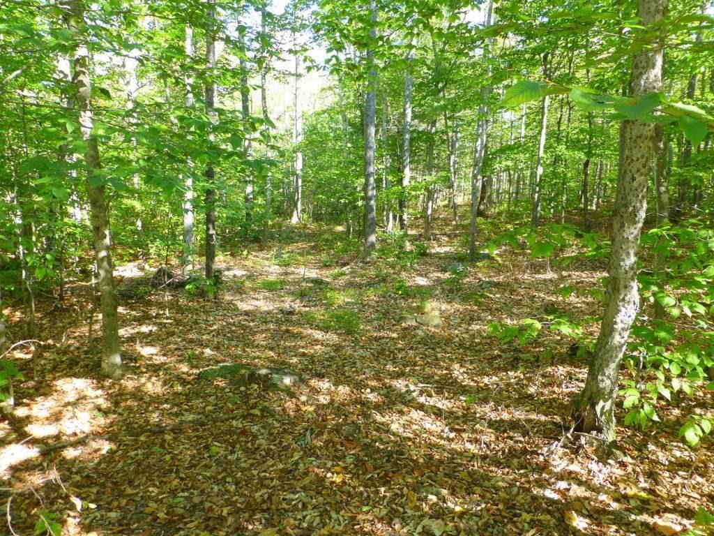 Tbd Weeks Mills Road Farmington, ME 04938 - Photo 1 of 20 Photo