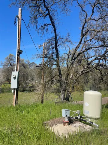 a view of backyard with plants and trees