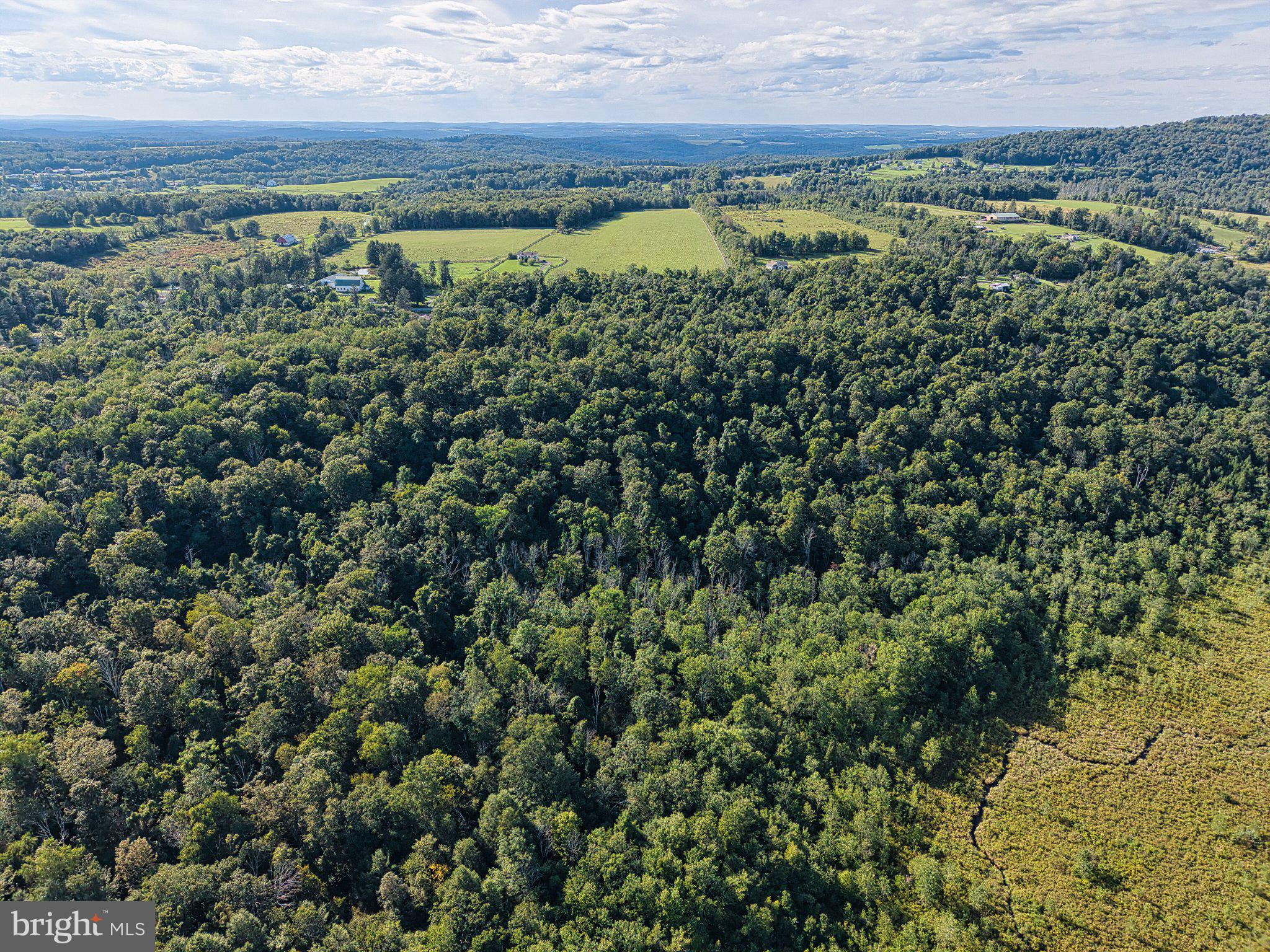 0 Creamery Road Jermyn, PA 18433 - Photo 9 of 17 Lush green landscape meets open fields.