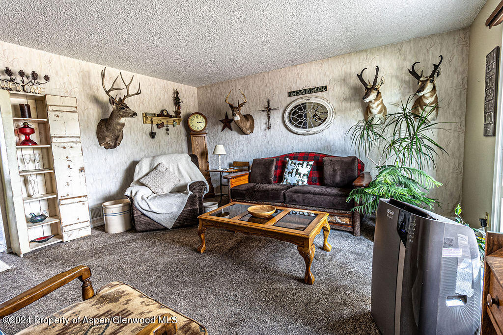 3863 Exmoor Road Craig, CO 81625 - Photo 6 of 44 3863ExmooreRd.-06