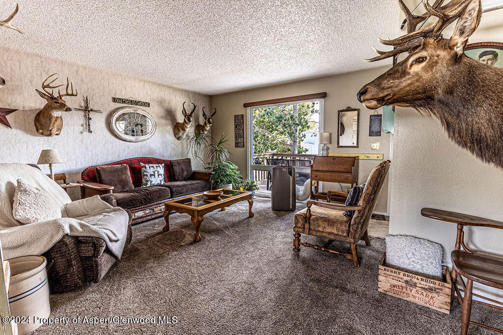 3863 Exmoor Road Craig, CO 81625 - Photo 7 of 44 3863ExmooreRd.-07