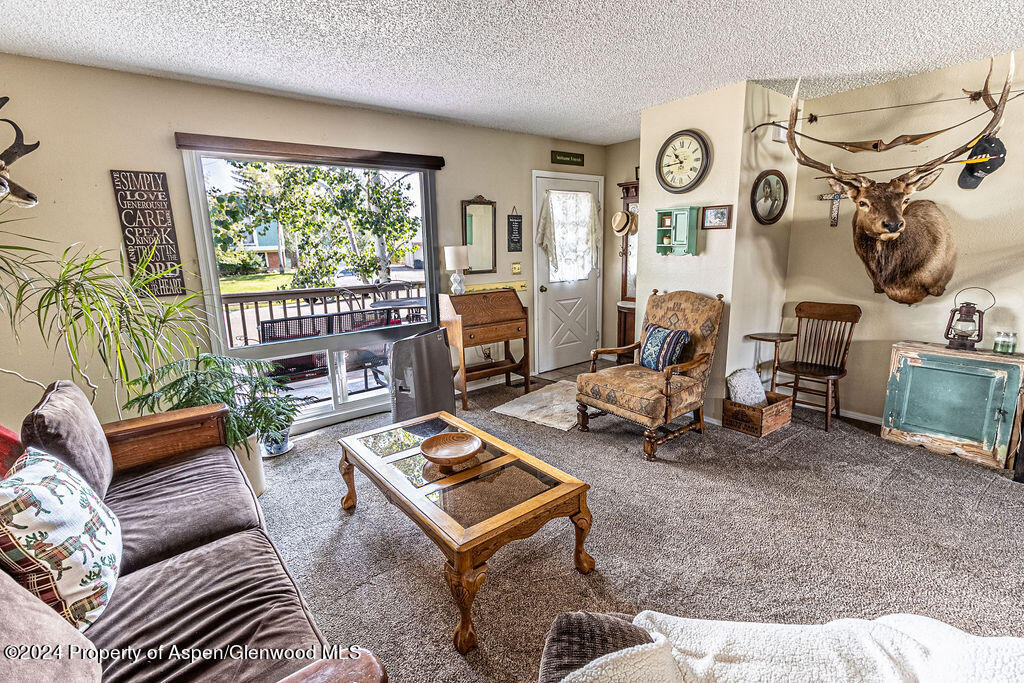 3863 Exmoor Road Craig, CO 81625 - Photo 8 of 44 3863ExmooreRd.-08