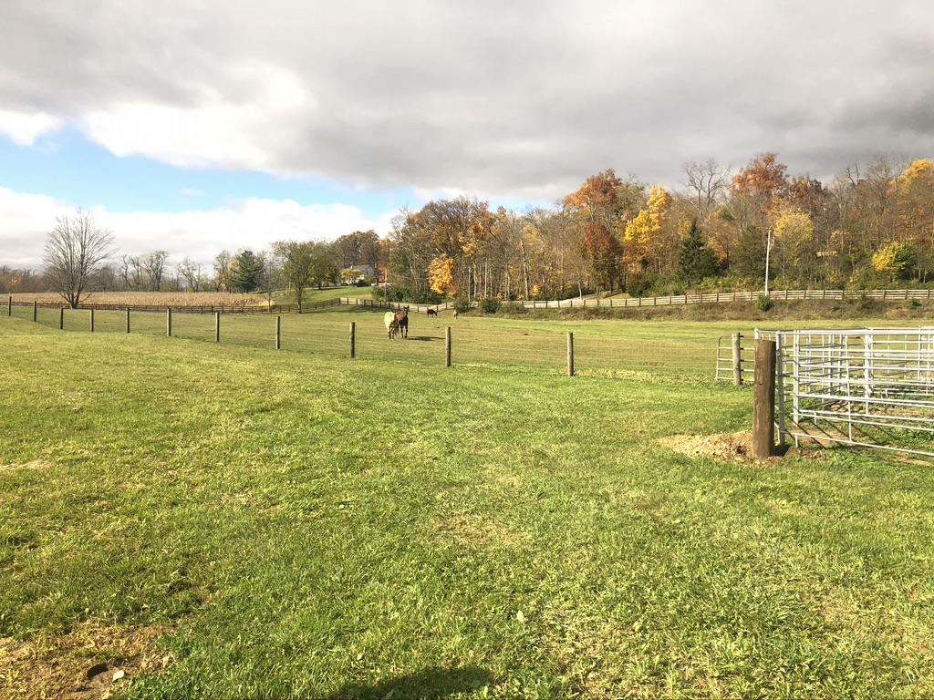 5855 Black Road Cable, OH 43009 - Photo 15 of 29