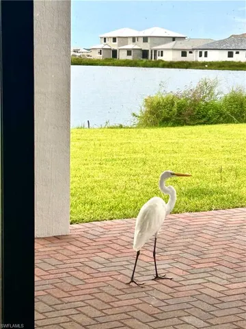 $3,950 | 5077 Gambero Way, Ave Maria, FL 34142