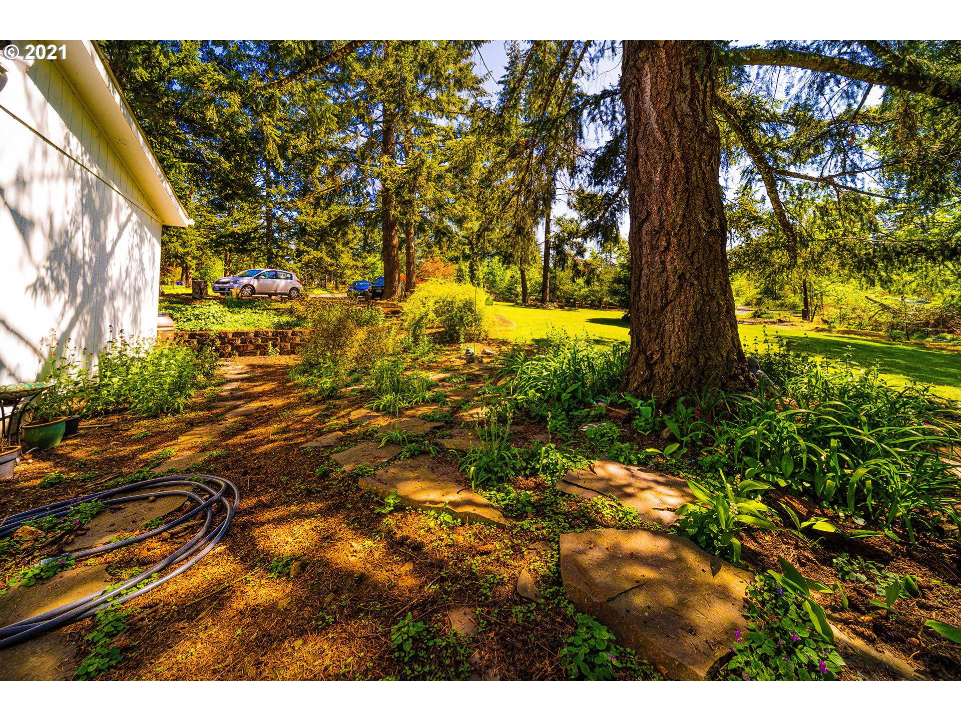 11099 South S Ridge Molalla, OR 97038 - Photo 4 of 20
