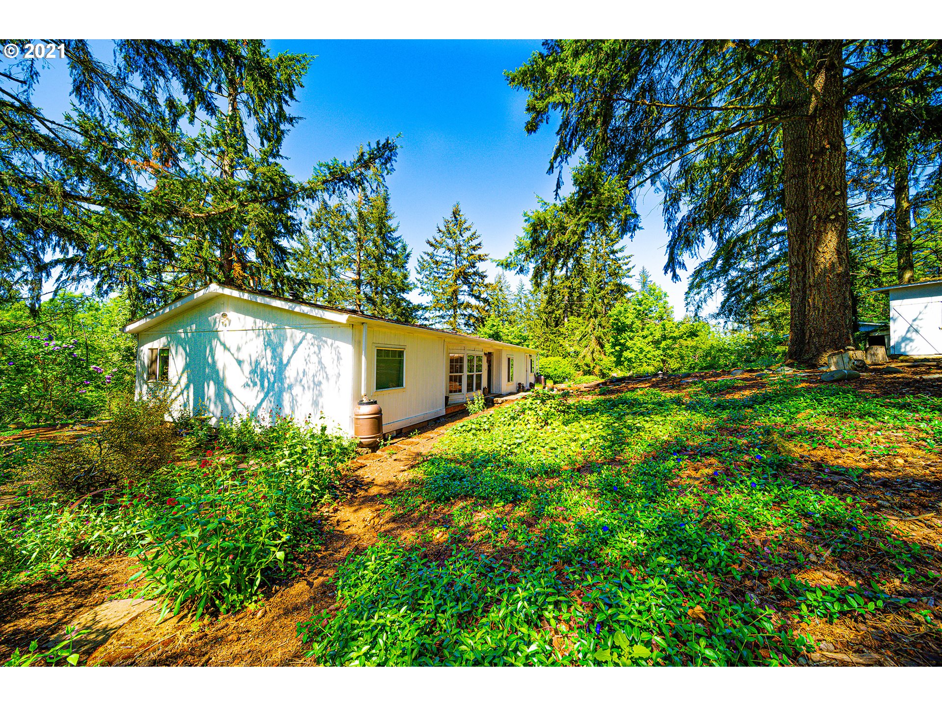 11099 South S Ridge Molalla, OR 97038 - Photo 5 of 20