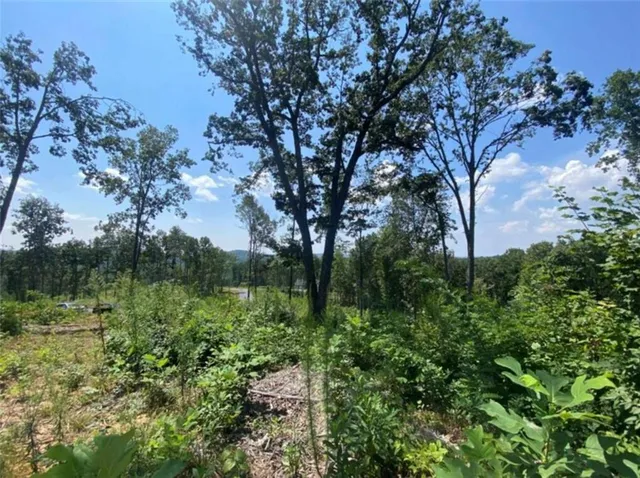 a view of a yard with a house