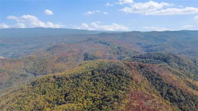a view of a yard with plants and a bench