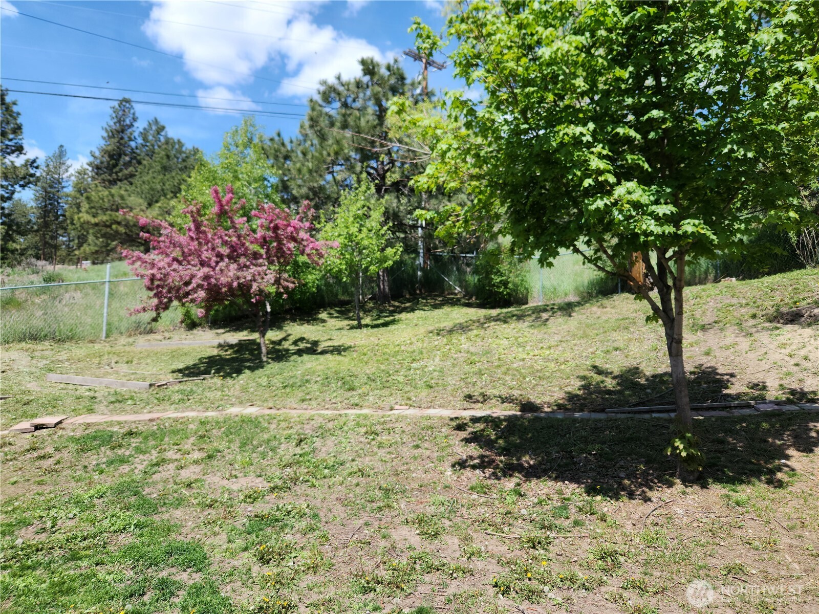 1023 North Adams Street Republic, WA 99166 - Photo 24 of 33 a view of a yard with a tree