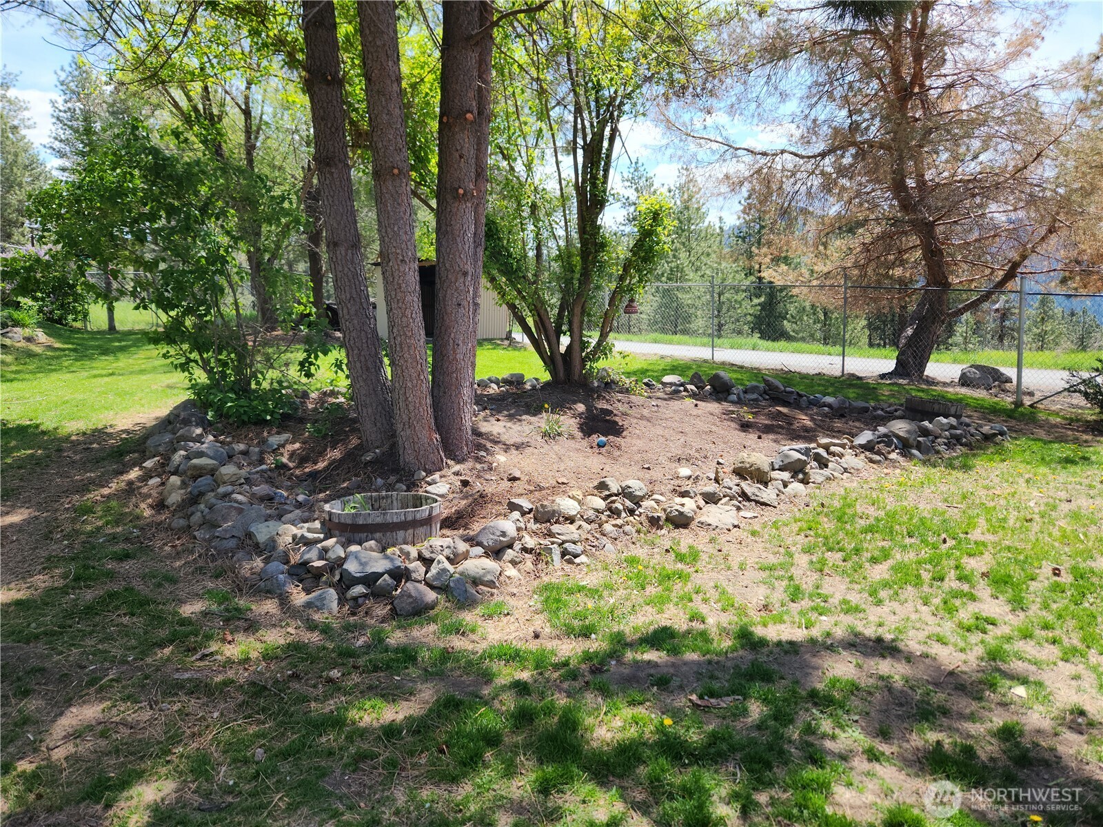1023 North Adams Street Republic, WA 99166 - Photo 25 of 33 a view of a forest with trees