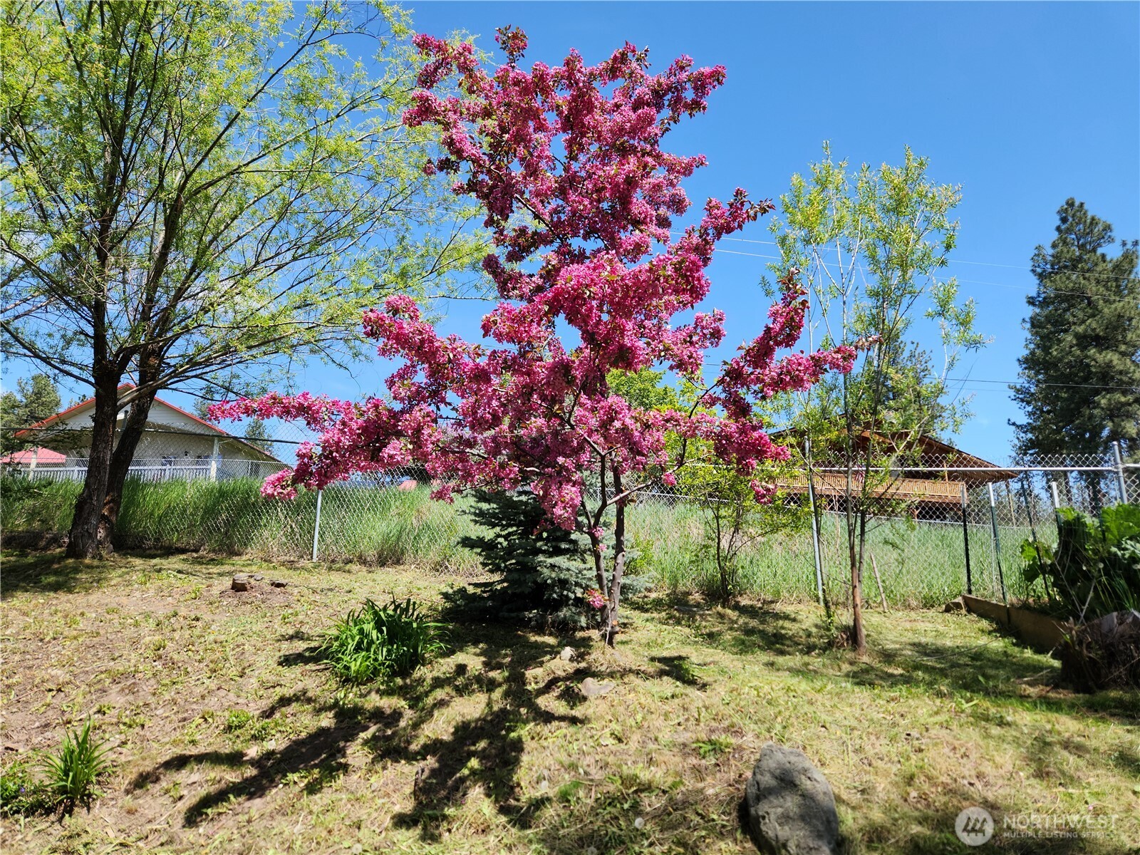 1023 North Adams Street Republic, WA 99166 - Photo 26 of 33 a backyard of a house with lots of green space