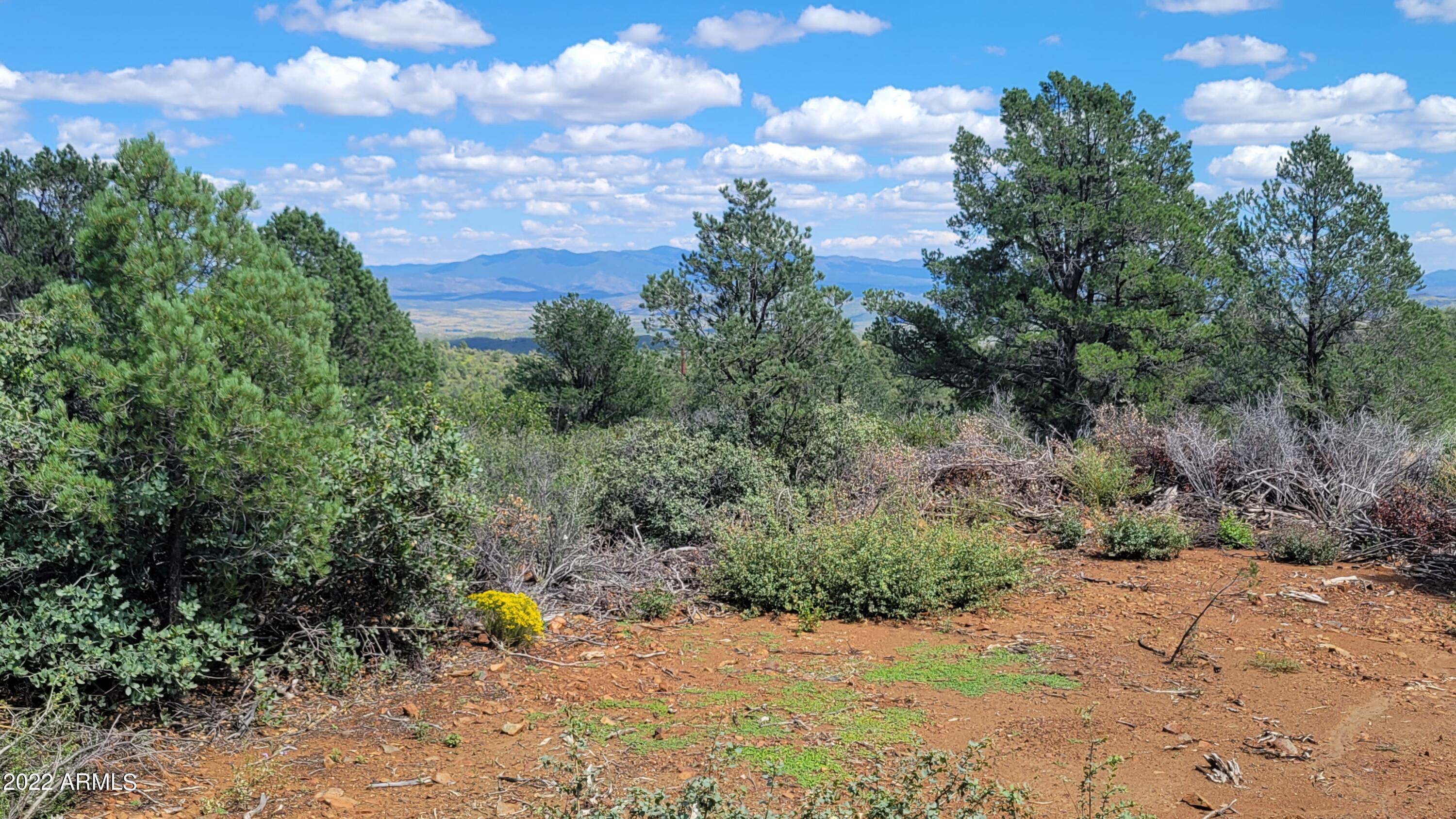 128 West Monte Cristo Ruger Ranch, Unit 128 Kirkland, AZ 86332 - Photo 29 of 40 20220915_132042