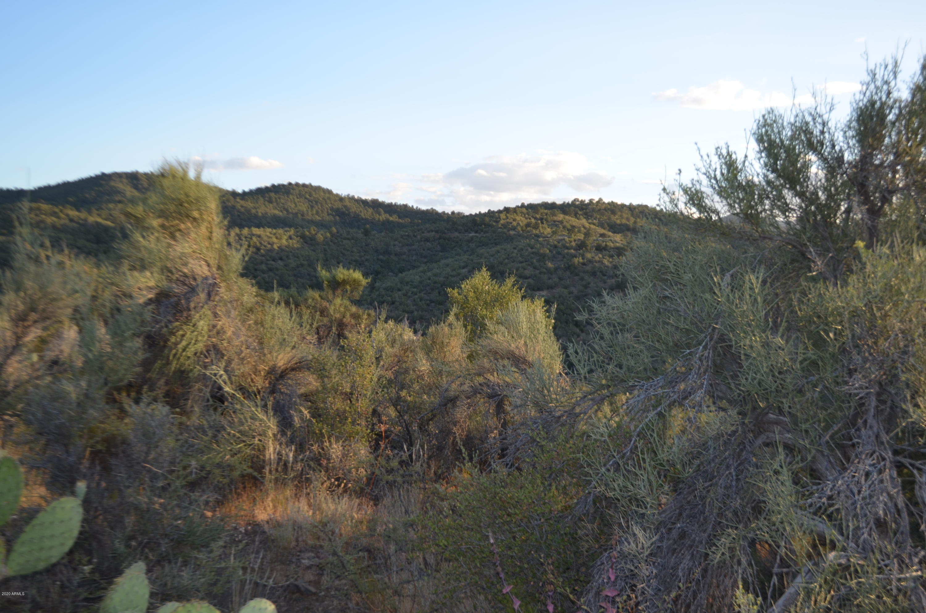 128 West Monte Cristo Ruger Ranch, Unit 128 Kirkland, AZ 86332 - Photo 9 of 40 DSC_3110