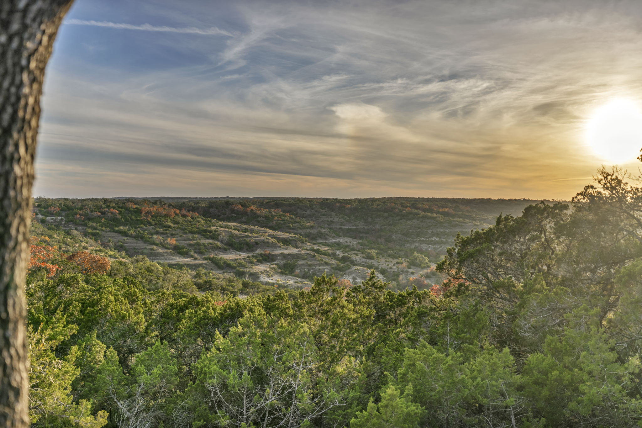 3300 Fm 165 Dripping Springs Dripping Springs, TX 78620 - Photo 17 of 17 a view of a field with an ocean