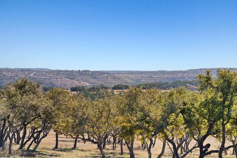 a view of mountain with trees in the background
