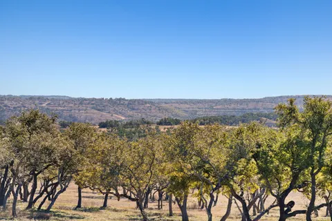 a view of mountain with trees in the background