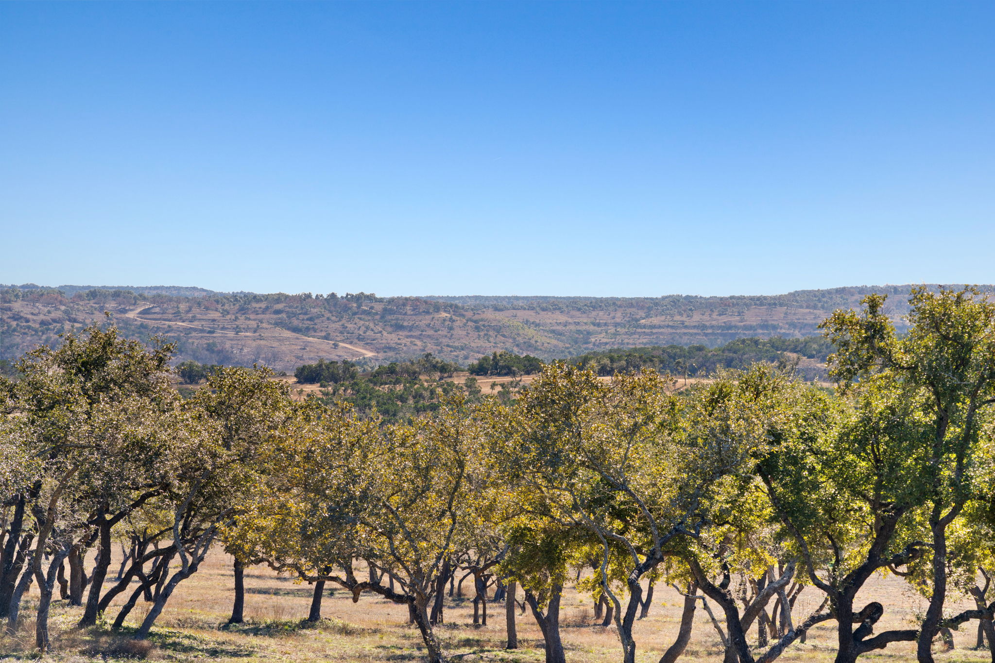 3300 Fm 165 Dripping Springs Dripping Springs, TX 78620 - Photo 7 of 17 a view of mountain with trees in the background
