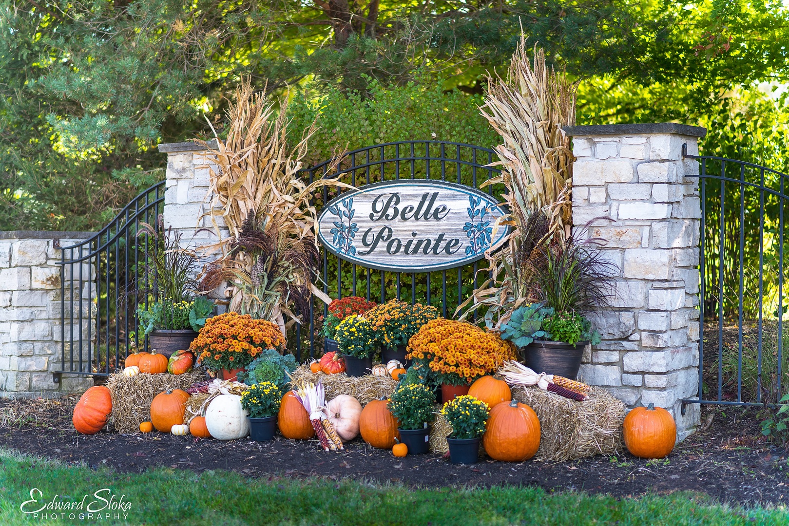 16009 Sara Lane Union, IL 60180 - Photo 2 of 5 a outdoor space with lots of fruit and vegetables