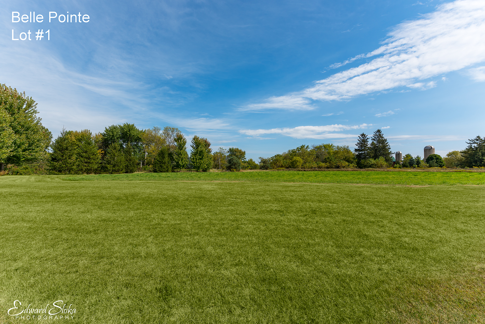 16009 Sara Lane Union, IL 60180 - Photo 3 of 5 a view of a field with an trees