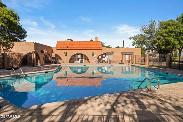 a view of a swimming pool with lawn chairs and palm trees