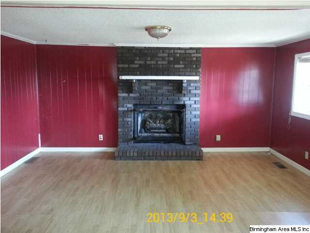 757 Ball Park Road Dora, AL 35062 - Photo 10 of 12