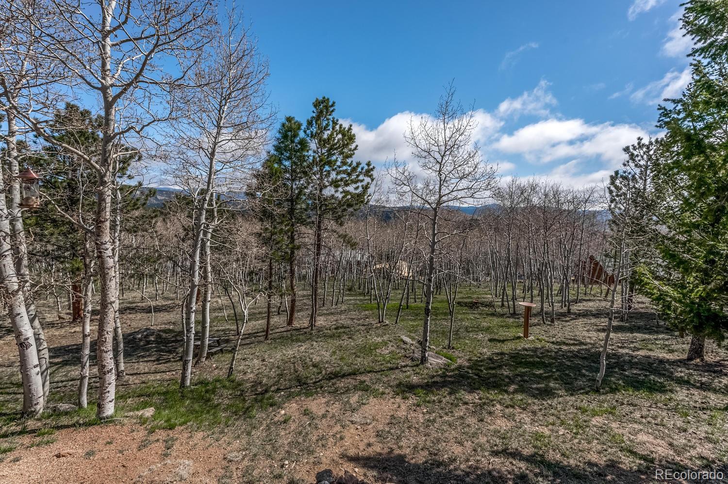 1920 Mockingbird Trail Bailey, CO 80421 - Photo 23 of 29 Gallery Image 23