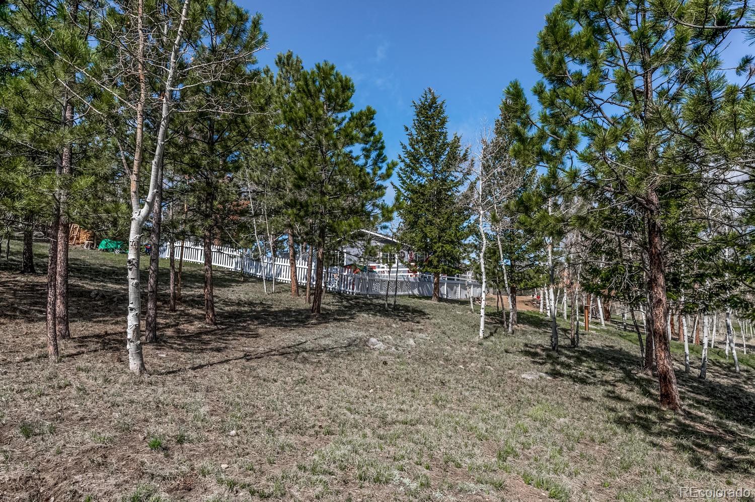 1920 Mockingbird Trail Bailey, CO 80421 - Photo 26 of 29 Gallery Image 26
