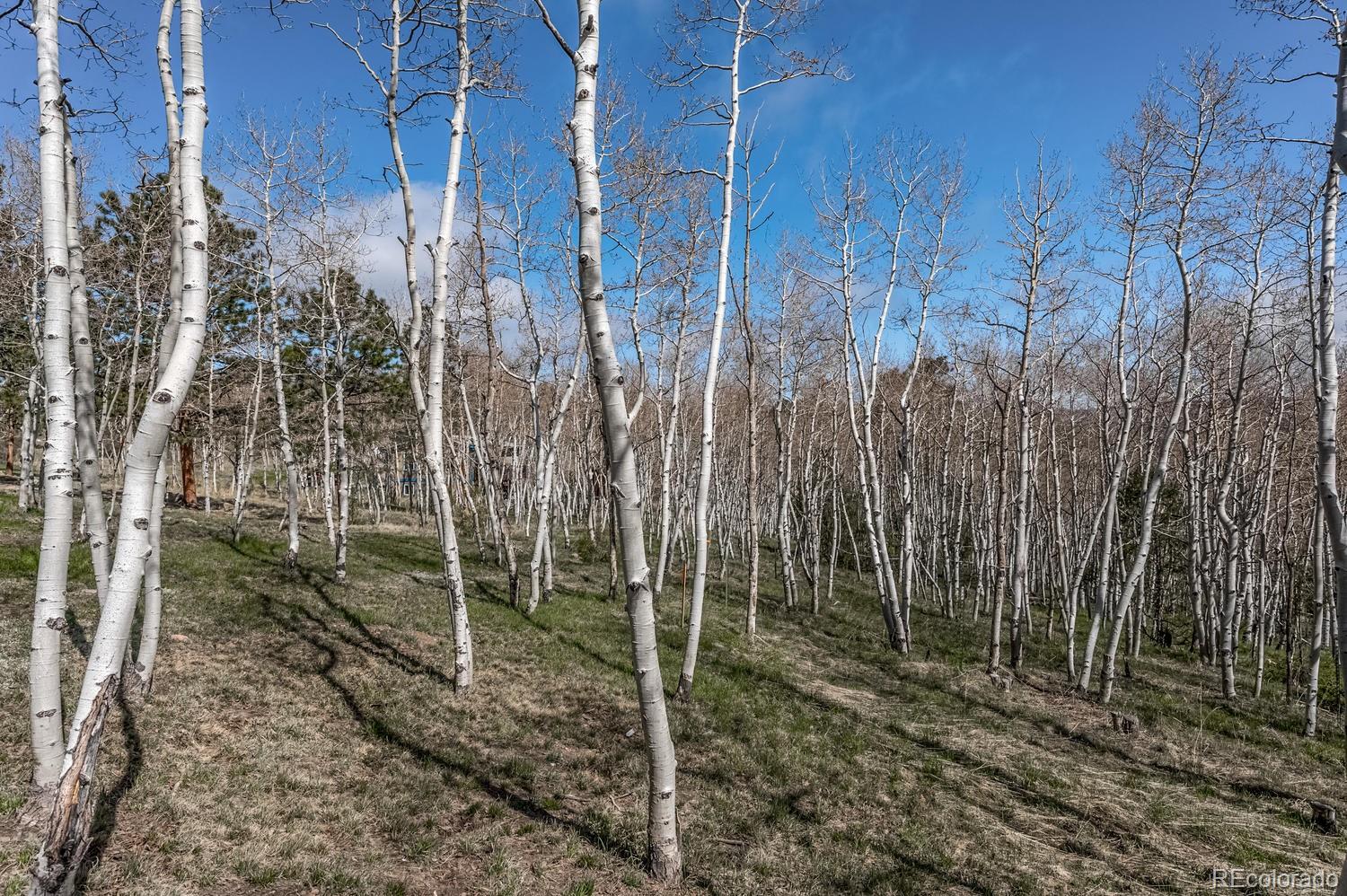 1920 Mockingbird Trail Bailey, CO 80421 - Photo 27 of 29 Gallery Image 27