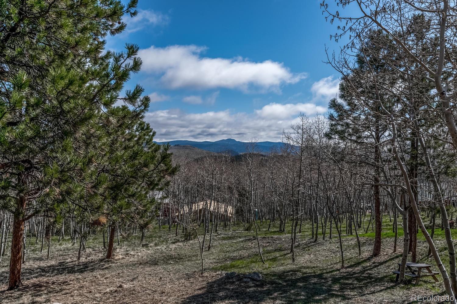 1920 Mockingbird Trail Bailey, CO 80421 - Photo 28 of 29 Gallery Image 28