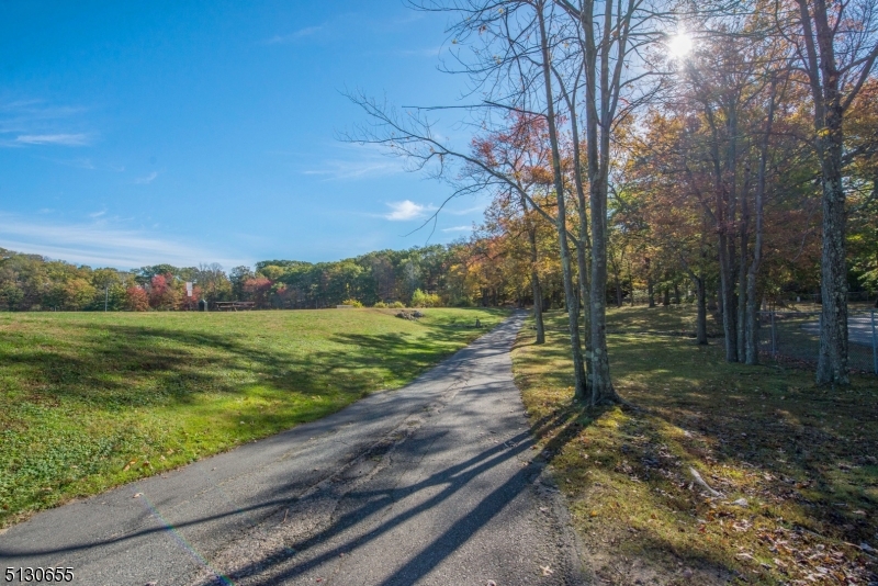 25 Lake Road Denville, NJ 07834 - Photo 28 of 45 a view of a yard with an trees