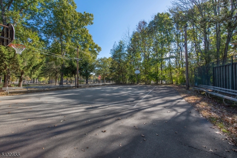 25 Lake Road Denville, NJ 07834 - Photo 33 of 45 a view of backyard with tree