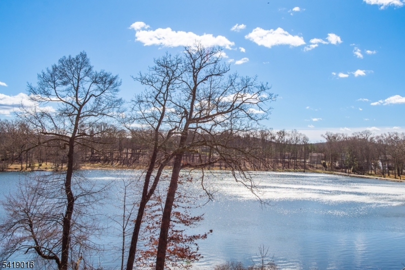 25 Lake Road Denville, NJ 07834 - Photo 40 of 45