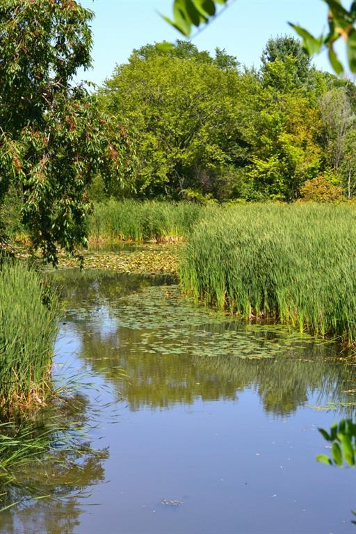 125 Colonial Road Portland, ME 04102 - Photo 29 of 34 Capisic Pond