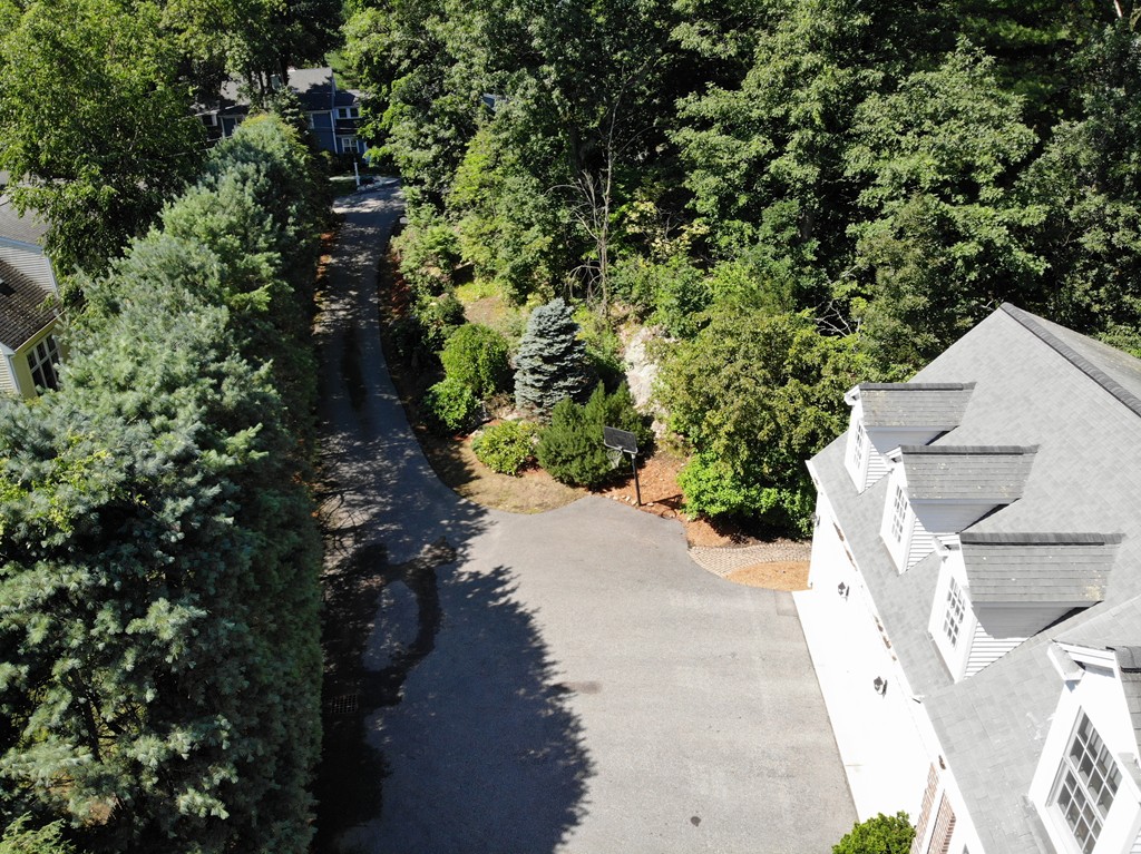 45 Arnold Road Wellesley, MA 02481 - Photo 11 of 15 a view of a yard with plants