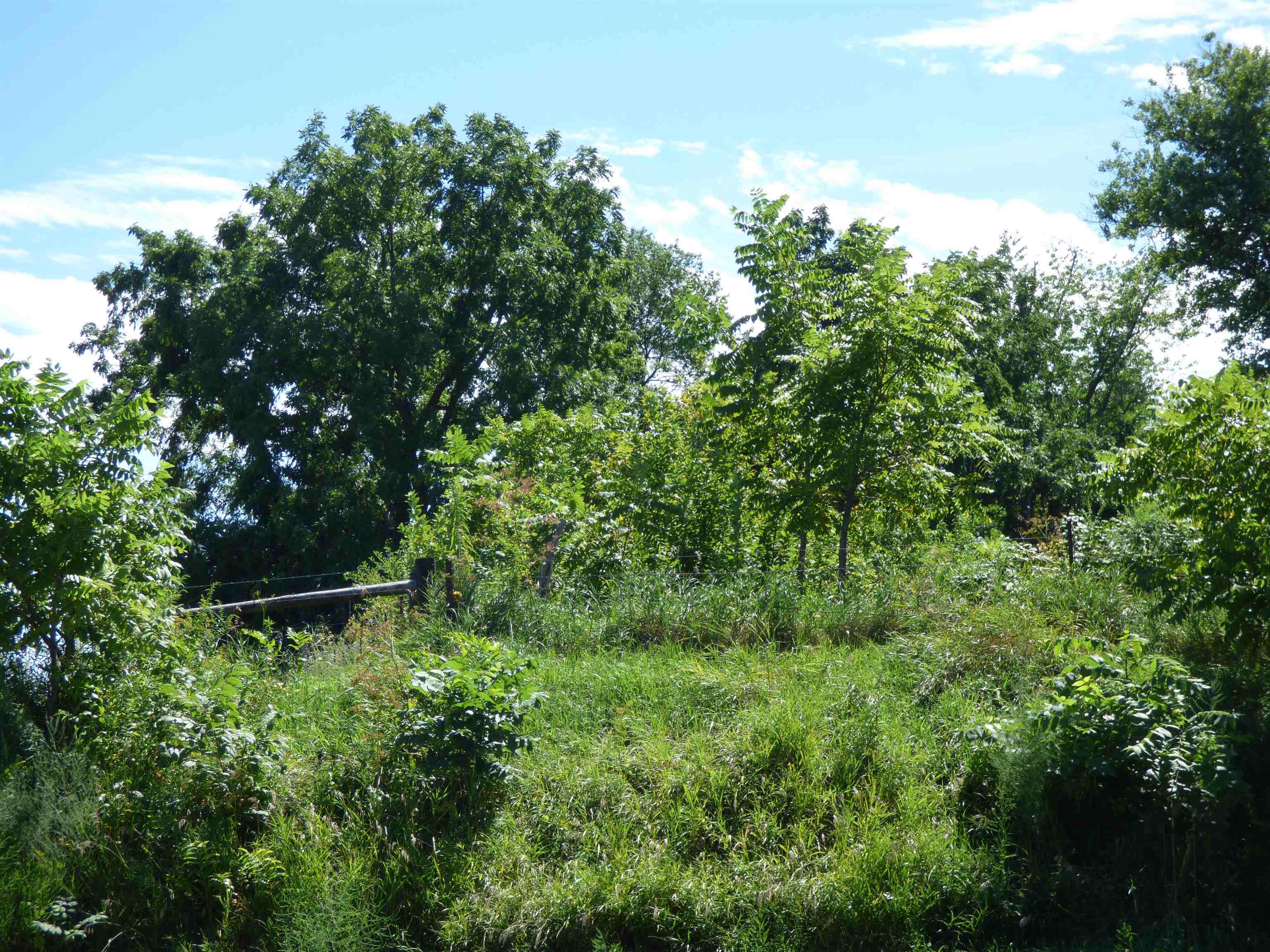 10203 East Center Road Stockton, IL 61085 - Photo 23 of 33 a view of outdoor space and yard