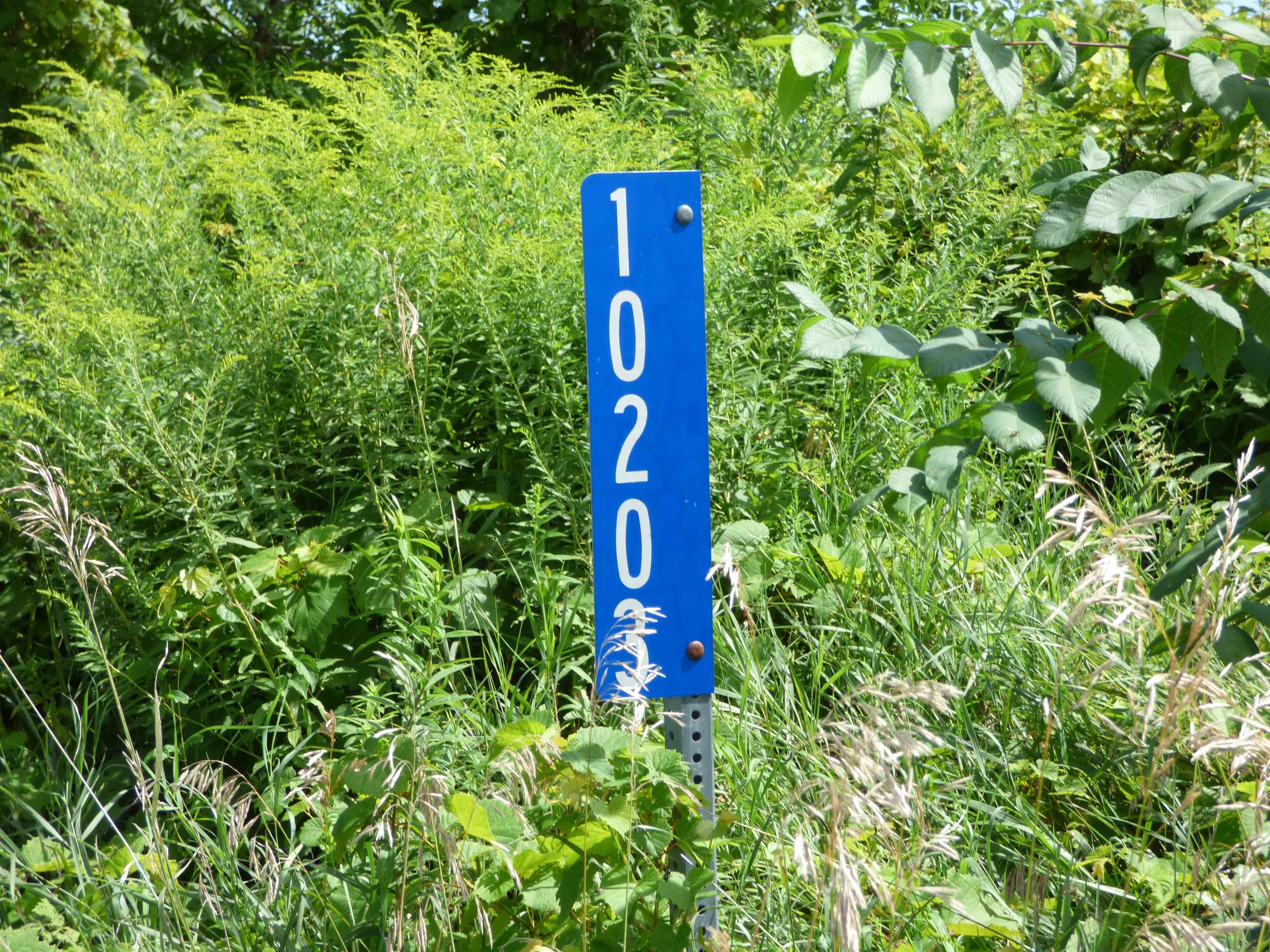 10203 East Center Road Stockton, IL 61085 - Photo 32 of 33 a view of a street sign