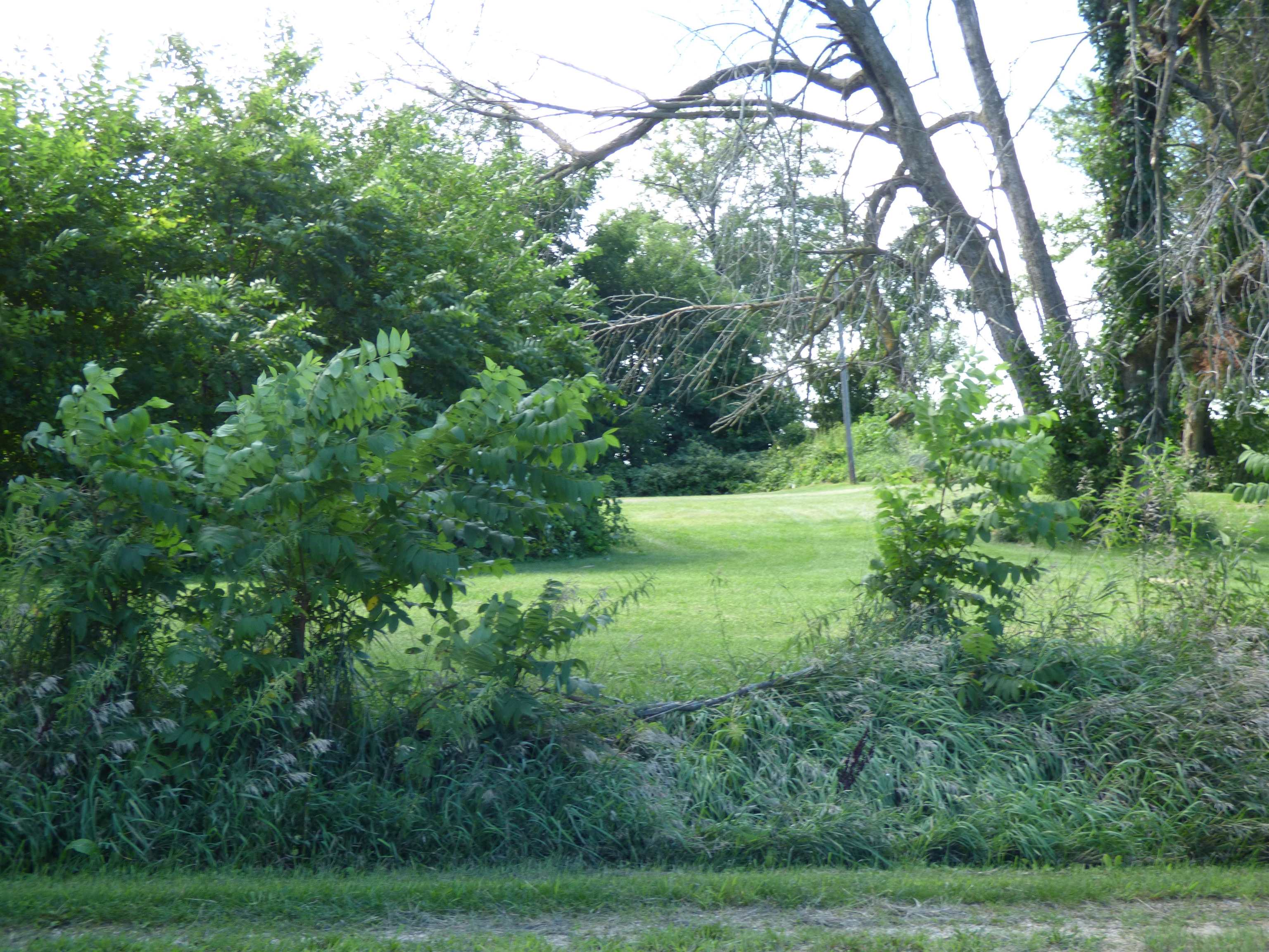 10203 East Center Road Stockton, IL 61085 - Photo 4 of 33 a view of a lush green space