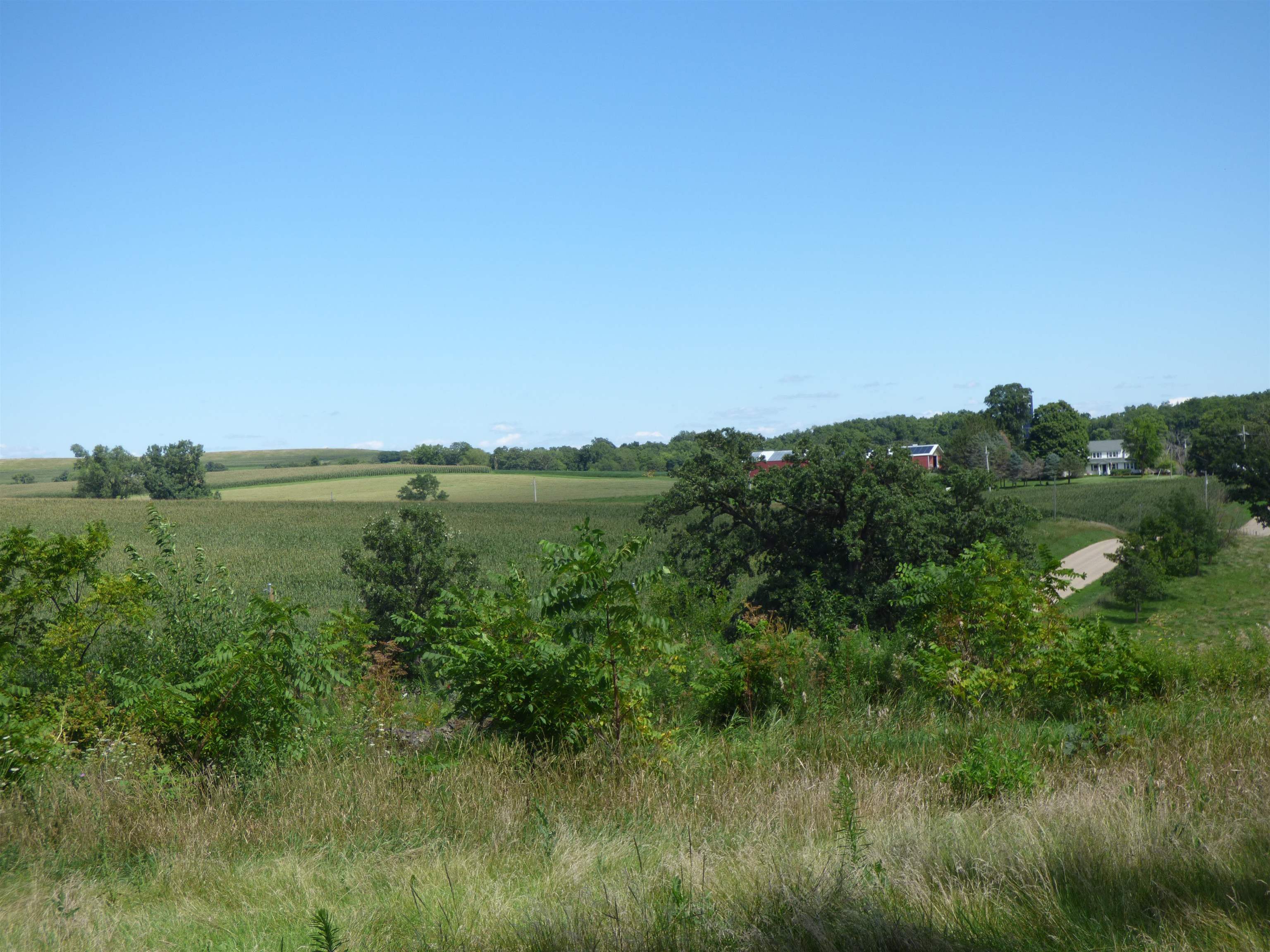 10203 East Center Road Stockton, IL 61085 - Photo 5 of 33 a view of a lake with a yard