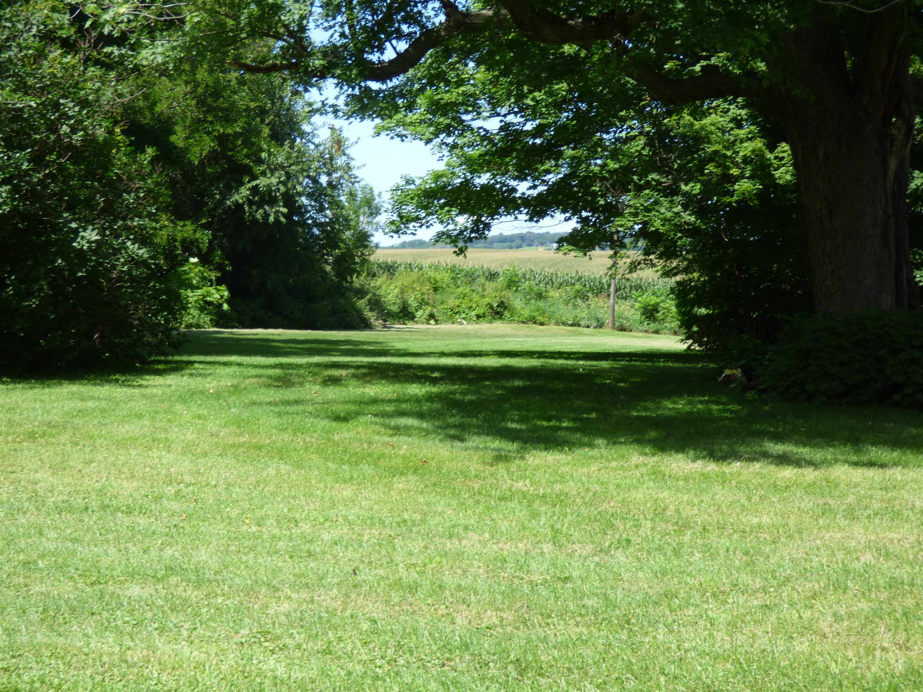 10203 East Center Road Stockton, IL 61085 - Photo 8 of 33 a view of a grassy field with trees in the background