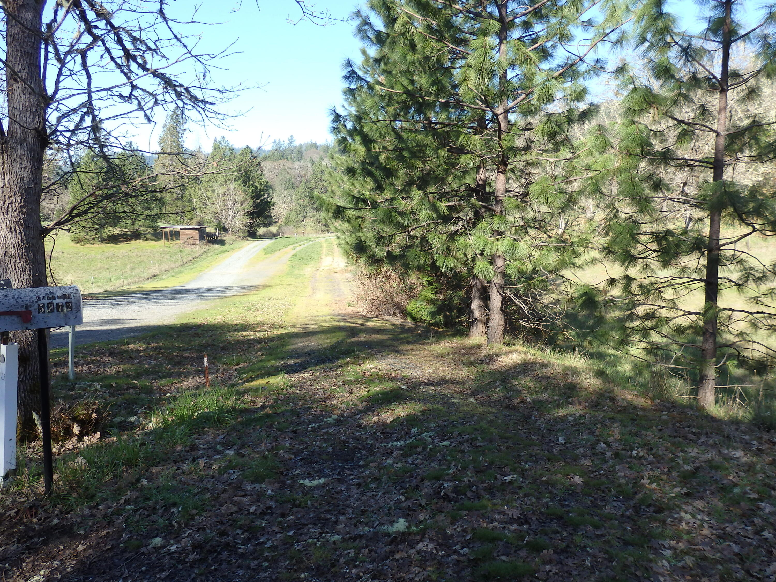 5872 Tunnel Loop Road Grants Pass, OR 97526 - Photo 9 of 16 Driveway Entrance