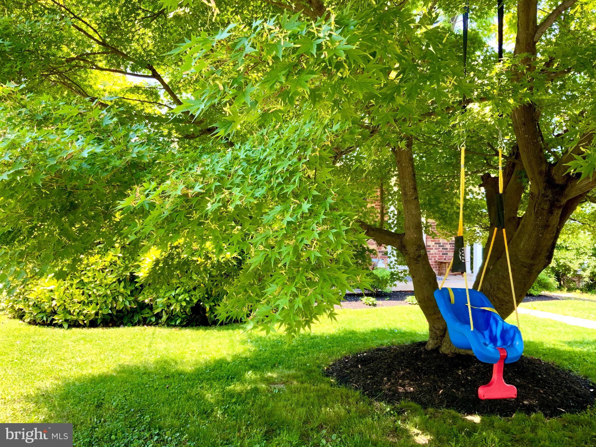 2818 West George Mason Road Falls Church, VA 22042 - Photo 20 of 20 Front yard...