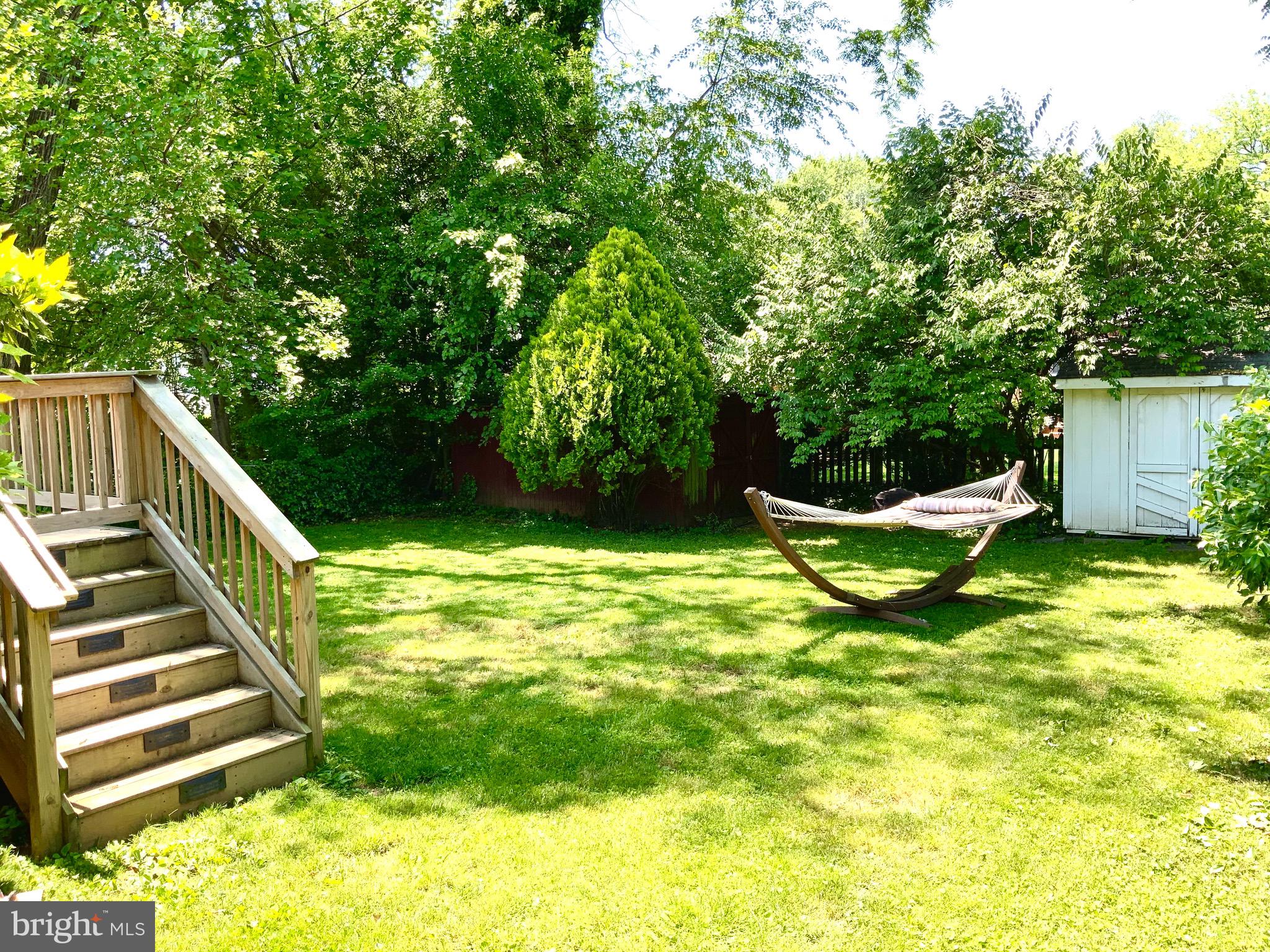 2818 West George Mason Road Falls Church, VA 22042 - Photo 8 of 20 Large, fenced back yard...