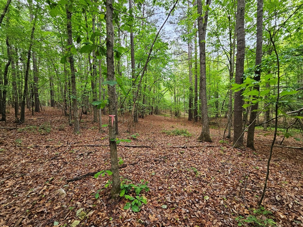 735 Mt Alto Road Esmont, VA 22937 - Photo 13 of 27 Gallery Image 13