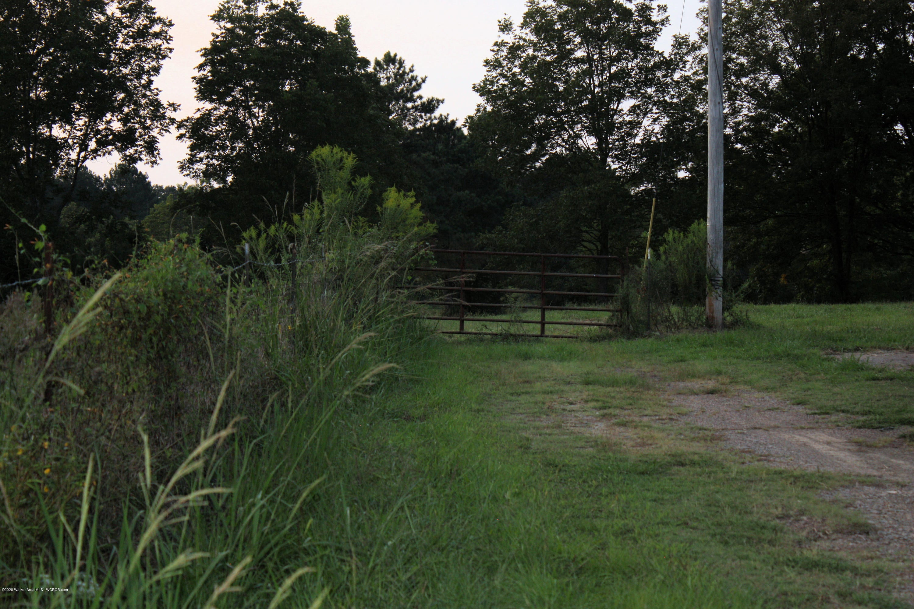 Rose Road Nauvoo, AL 35578 - Photo 8 of 12 Gallery Image 8