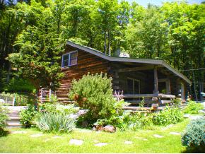 - Hazel Hill Road Townshend, VT 05353 - Photo 1 of 9