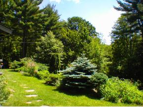 - Hazel Hill Road Townshend, VT 05353 - Photo 4 of 9