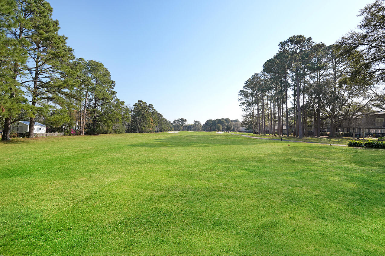 1163 Farm Quarter Road Mount Pleasant, SC 29464 - Photo 62 of 69 DSC01886