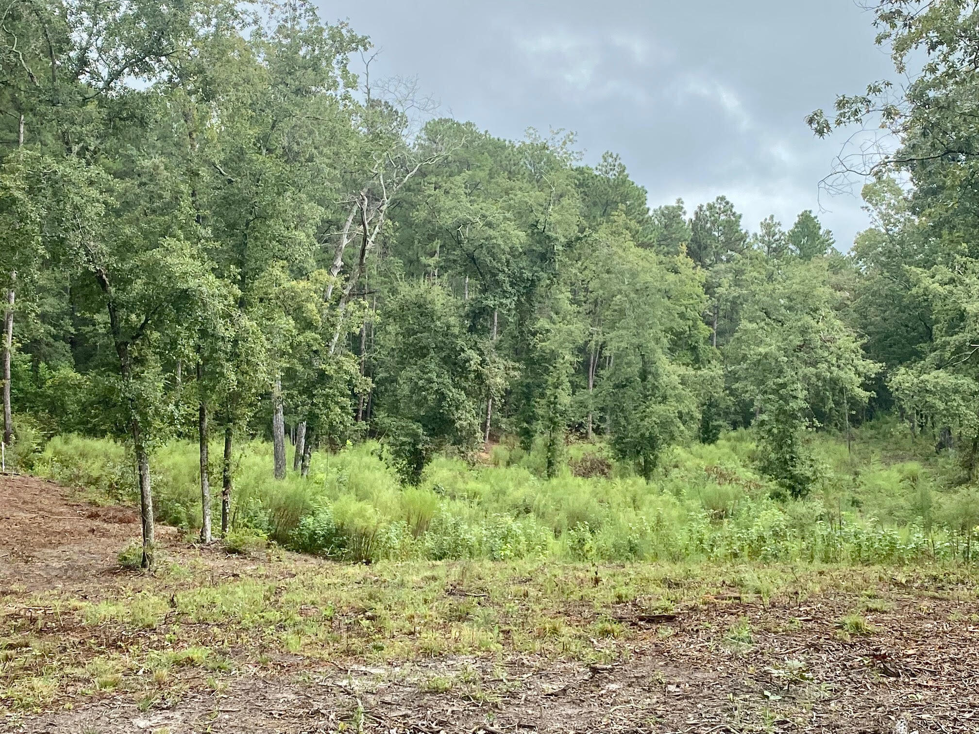 164 Snipes Road Aiken, SC 29801 - Photo 3 of 8