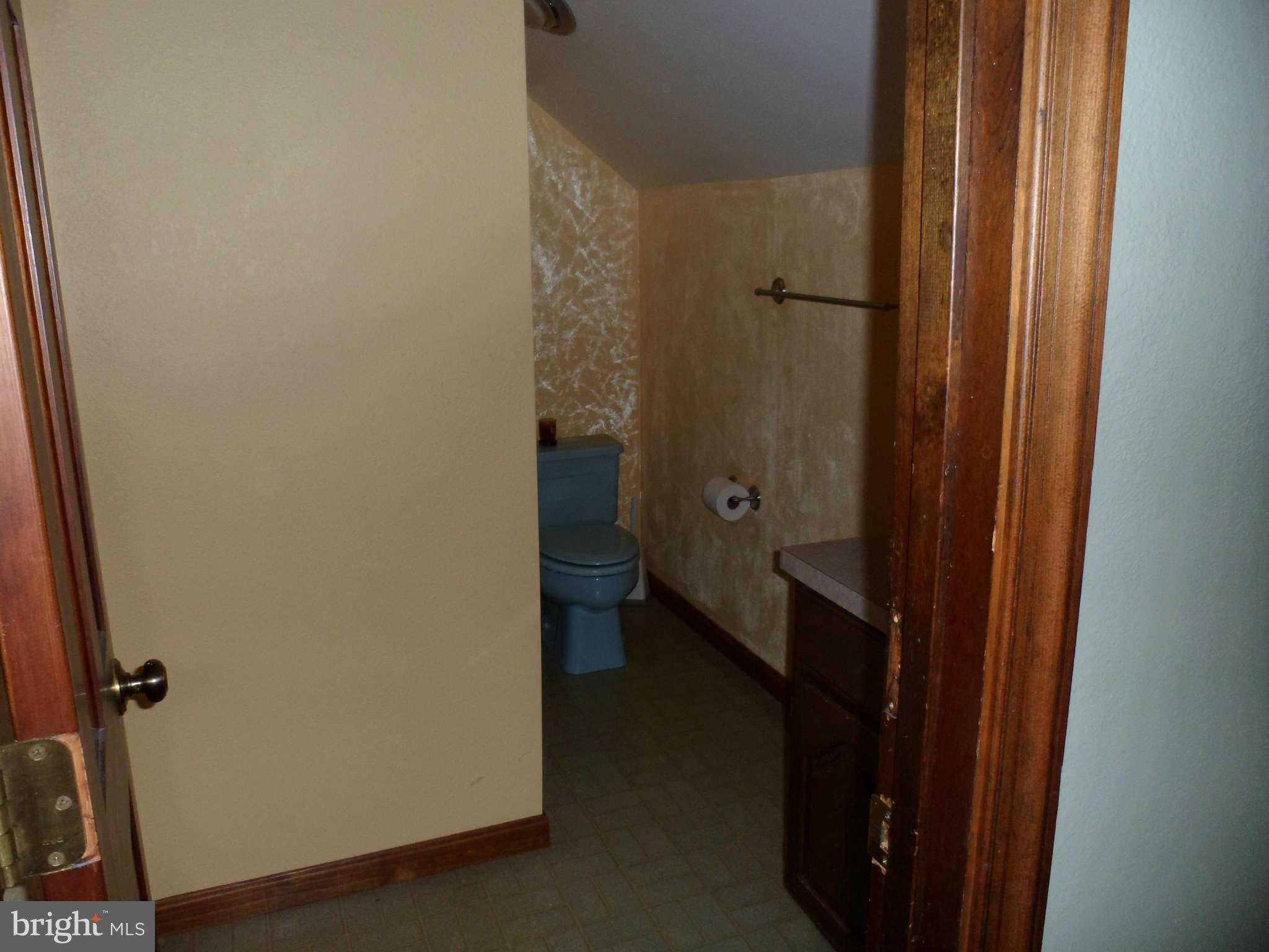 500 Springhill Road Rising Sun, MD 21911 - Photo 23 of 28 Bath (Master)